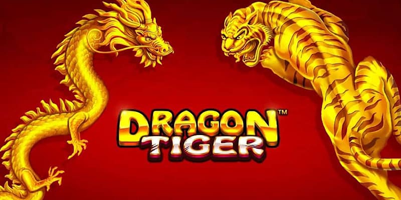 Rồng Hổ Ku11
